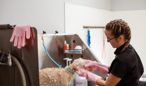 Médica Veterinária