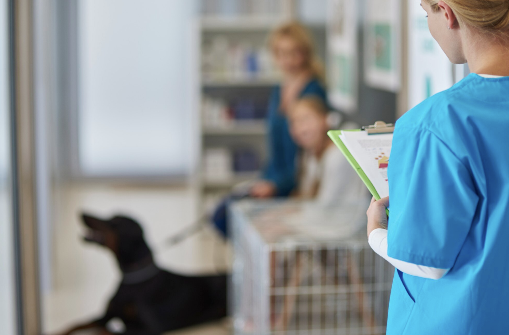 Atendimento em clínica veterinária